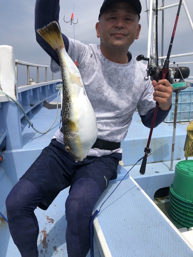 ショウサイフグ