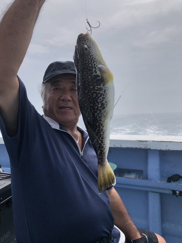 ショウサイフグ