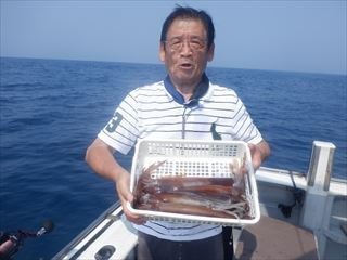 スルメイカ