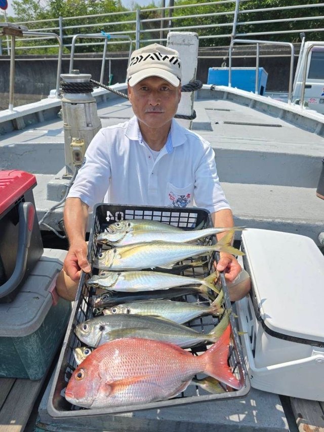 マダイ・アジ(マアジ)