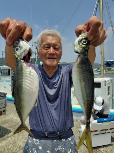 アジ(マアジ)
