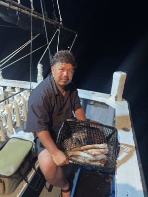 アカイカ(ケンサキイカ)・スルメ(スルメイカ)