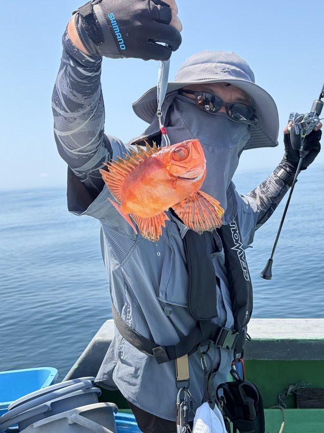 チカメキントキ