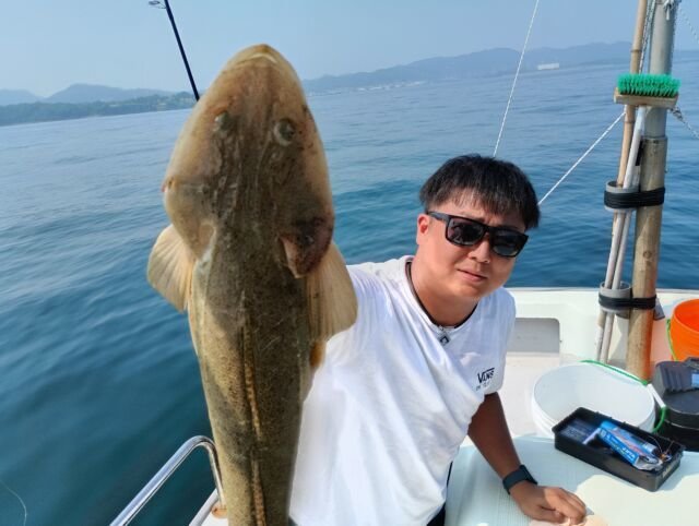 マゴチ