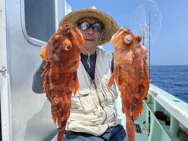 カサゴ