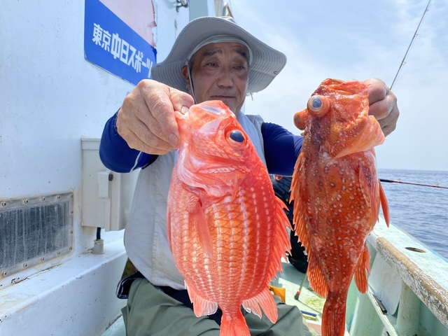 カサゴ