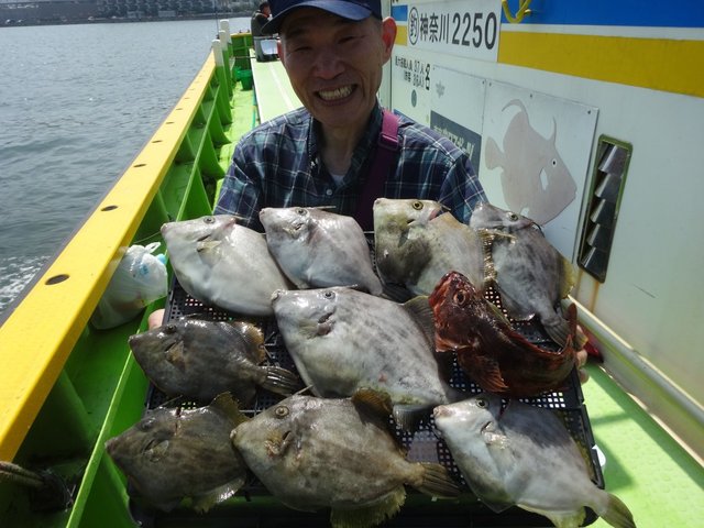 カワハギ