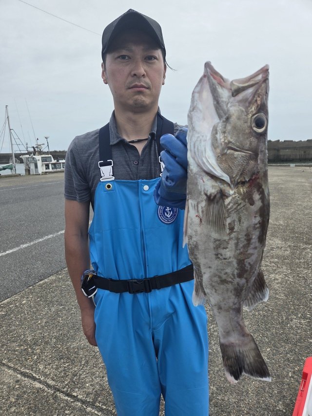 アラ