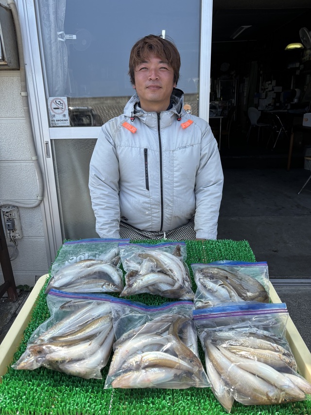 シロギス