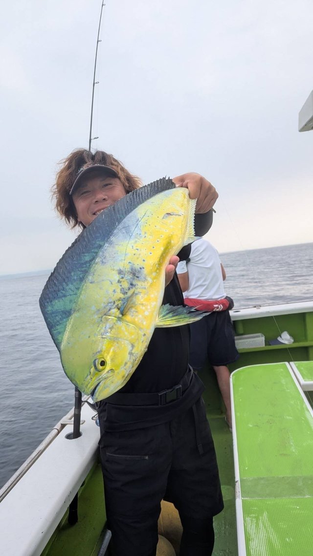 シイラ