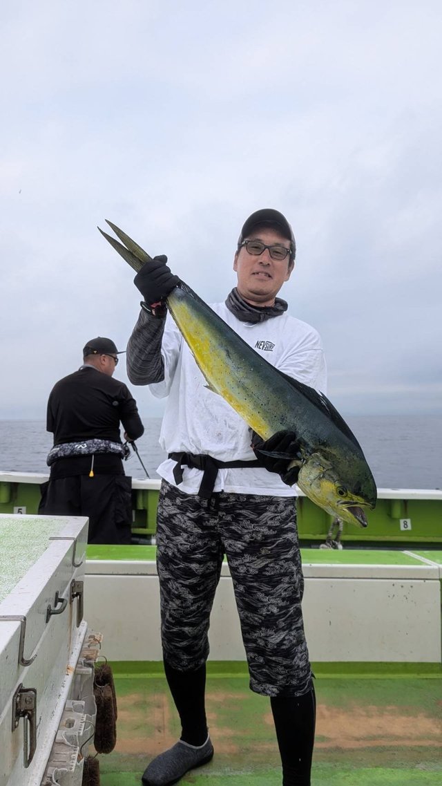 シイラ