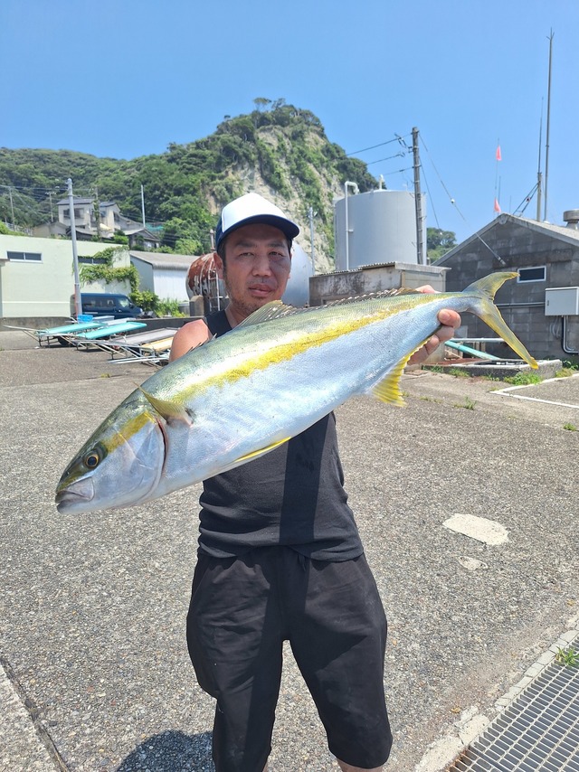ヒラマサ