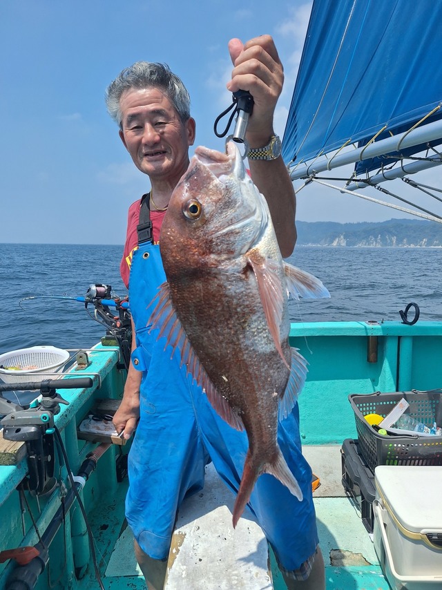 マダイ