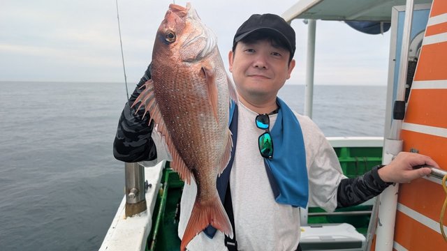 マダイ