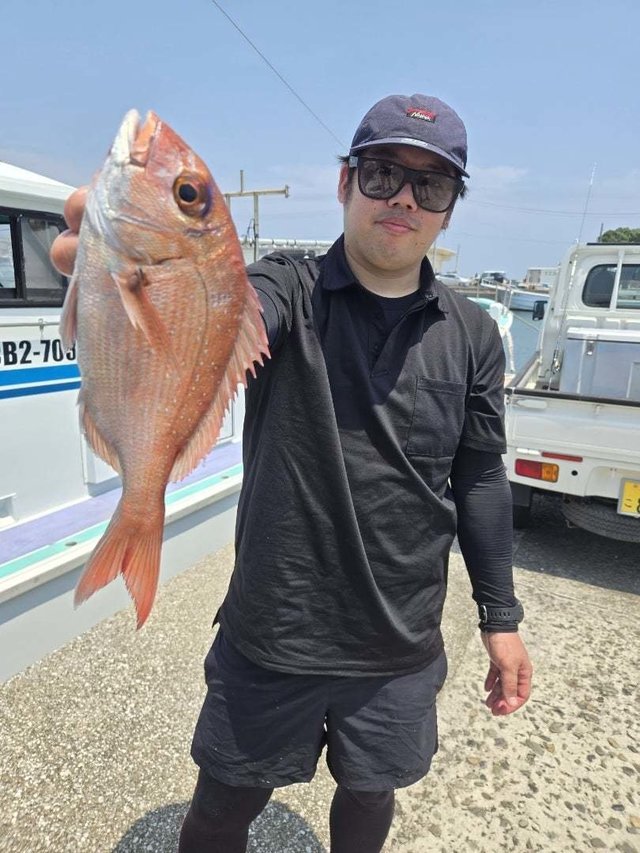 マダイ