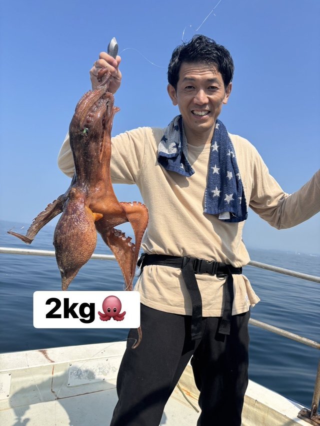 マダコ