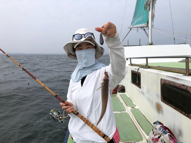 シロギス