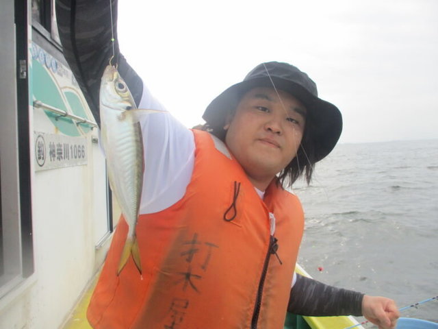 アジ(マアジ)