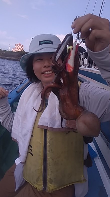 マダコ