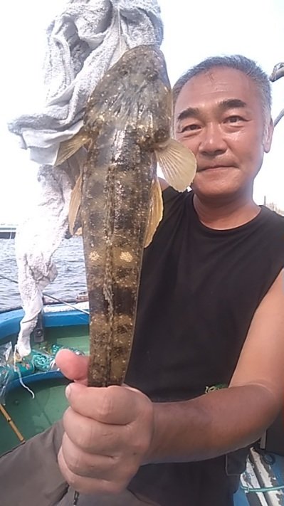マゴチ