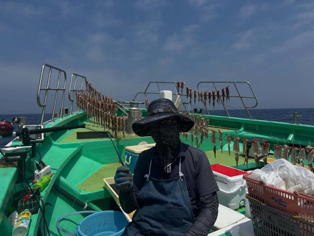 スルメイカ