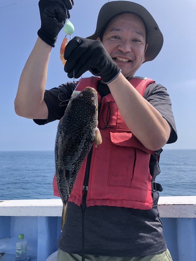 ショウサイフグ