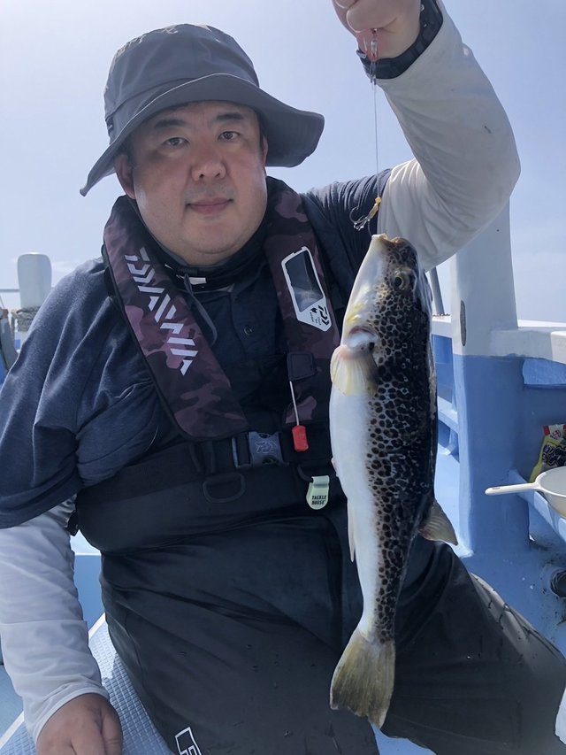 ショウサイフグ