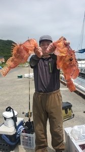 オニカサゴ
