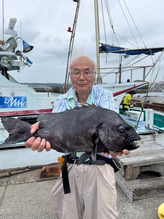 イシダイ
