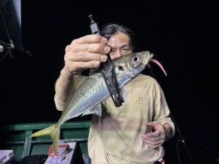 アジ(マアジ)