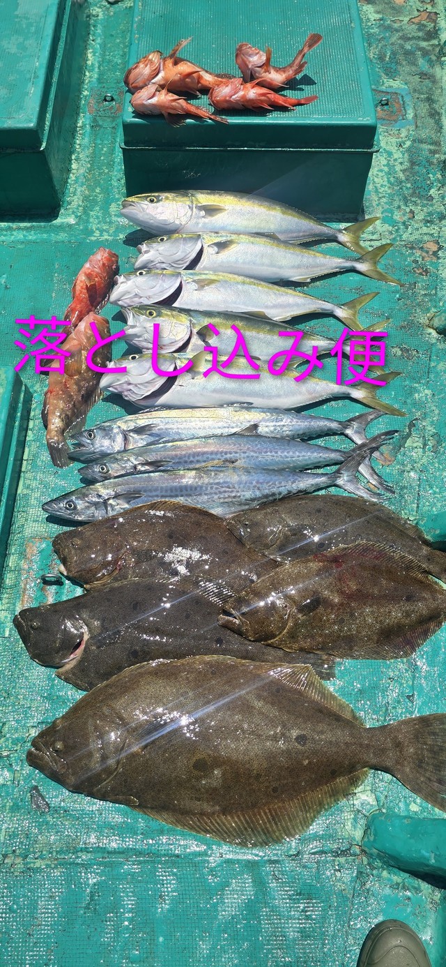 ハマチ(ブリ)・サゴシ(サワラ)・ヒラメ
