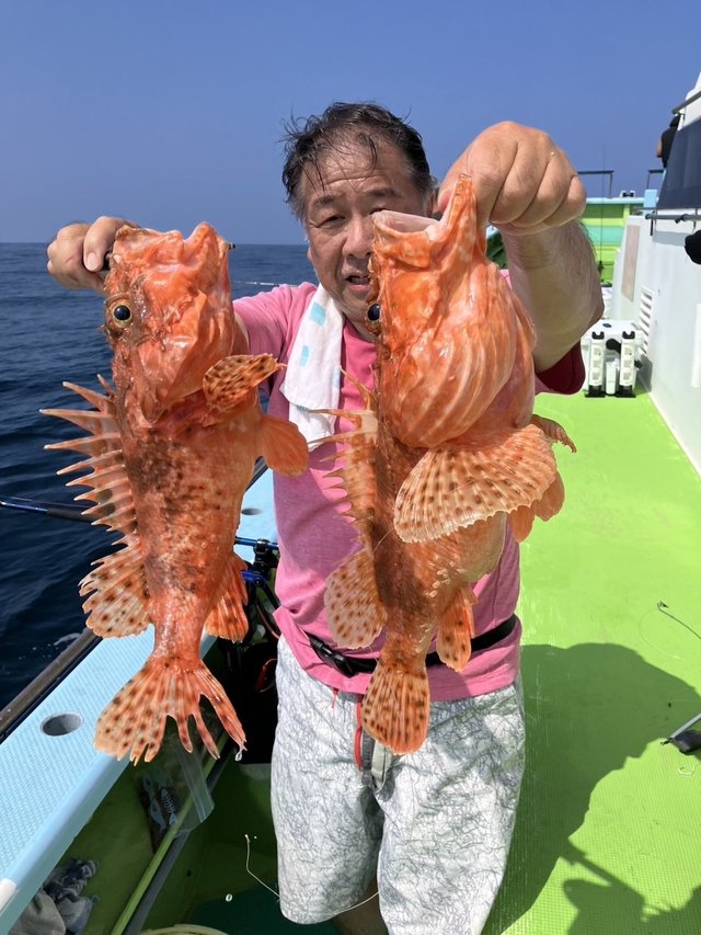 オニカサゴ