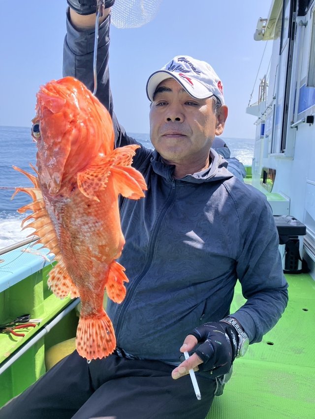 オニカサゴ