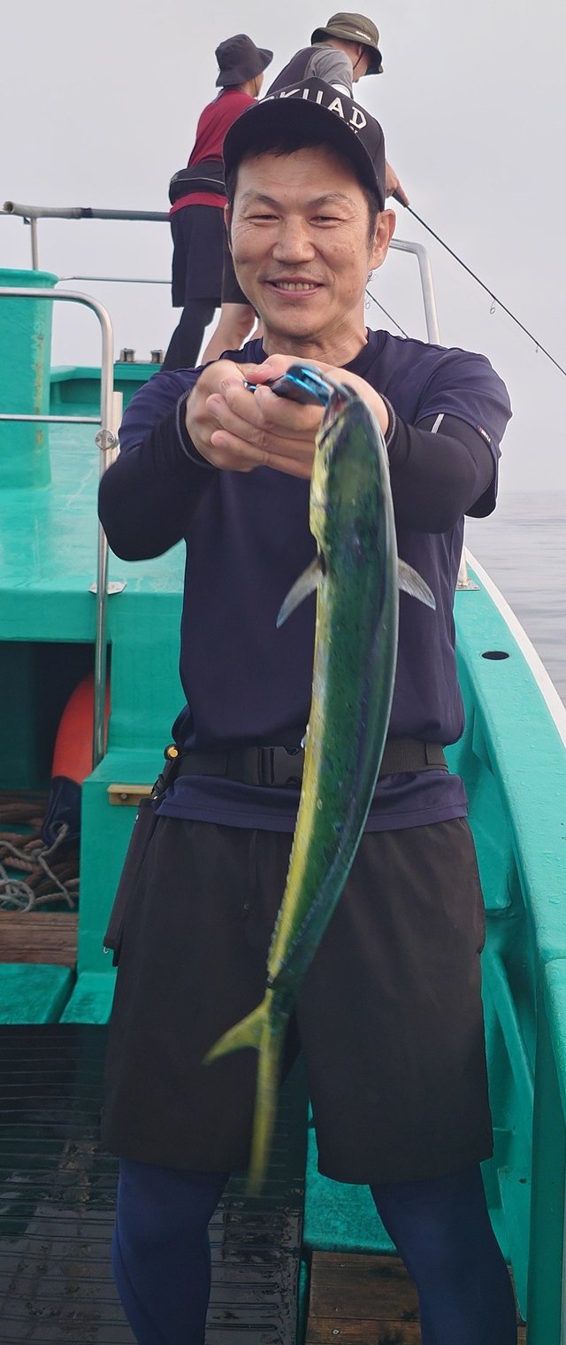シイラ