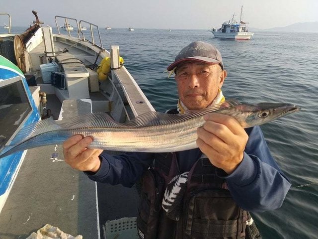 タチウオ