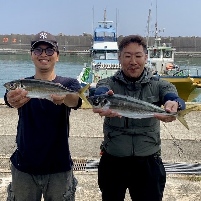 アジ(マアジ)