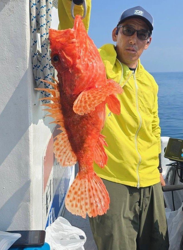オニカサゴ