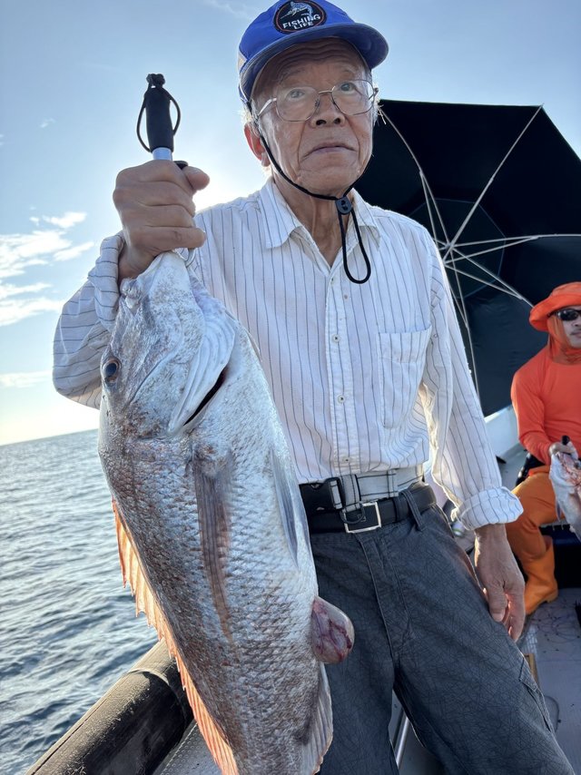 マダイ