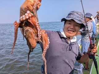 マダコ