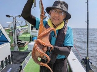 マダコ