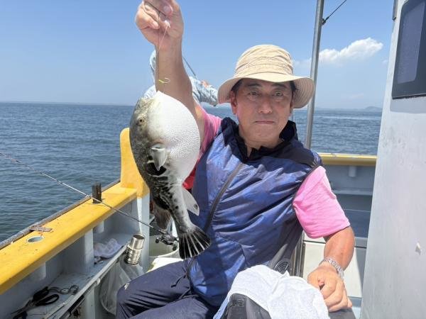 ショウサイフグ