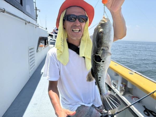 ショウサイフグ