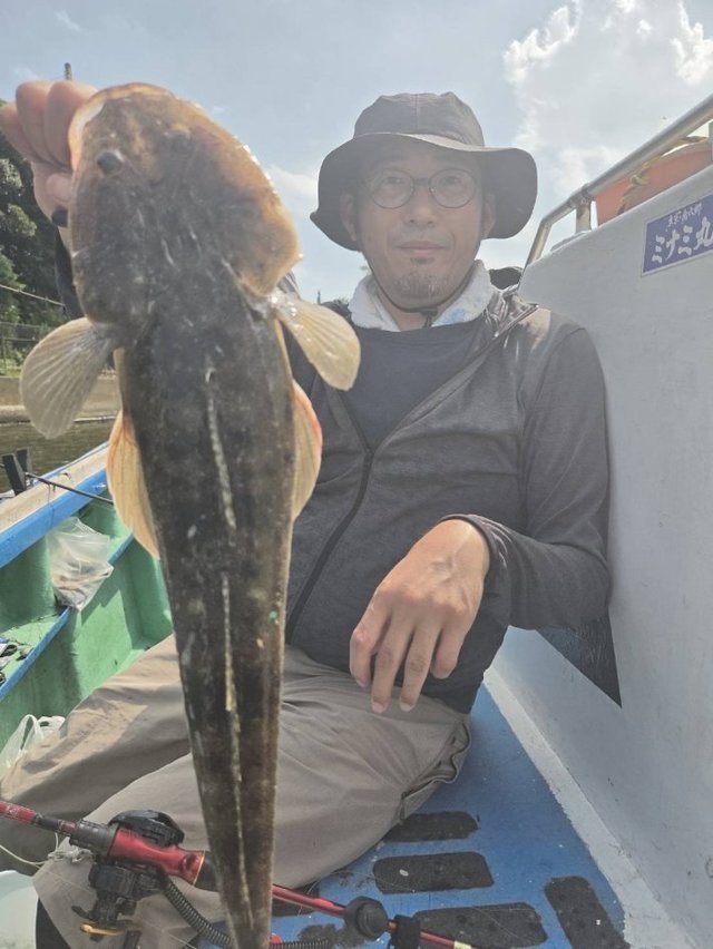 マゴチ