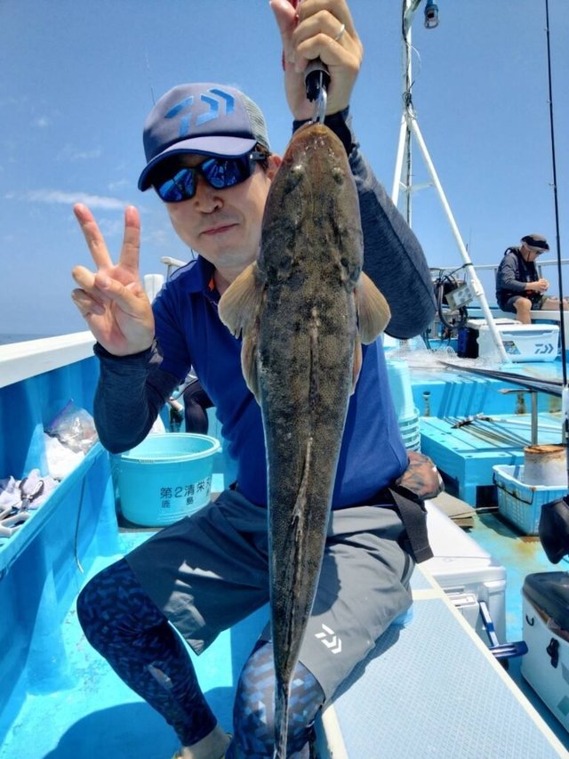 マゴチ