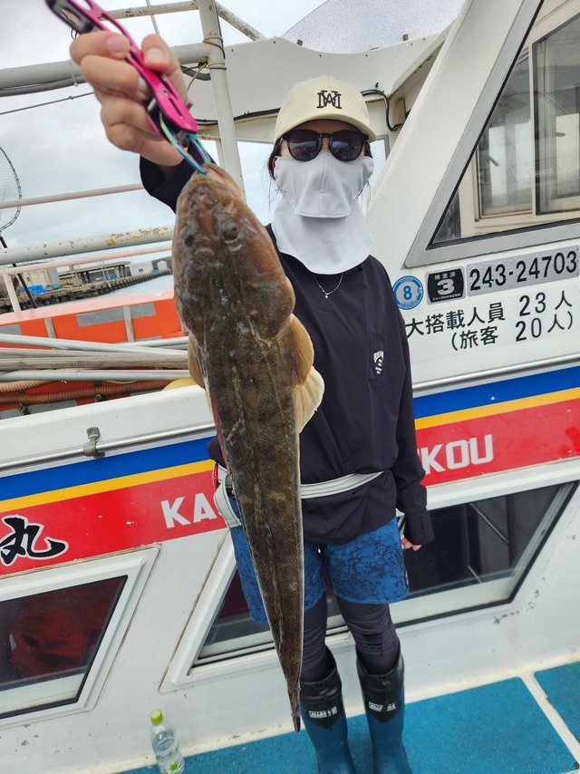 マゴチ