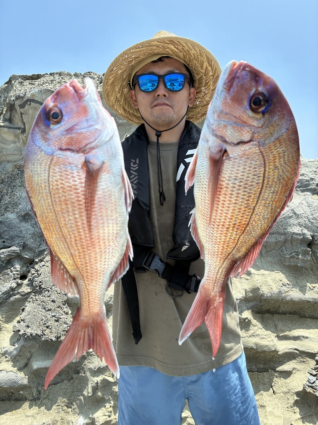 マダイ