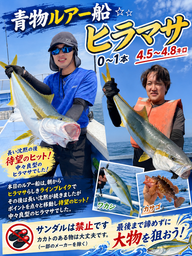 ヒラマサ