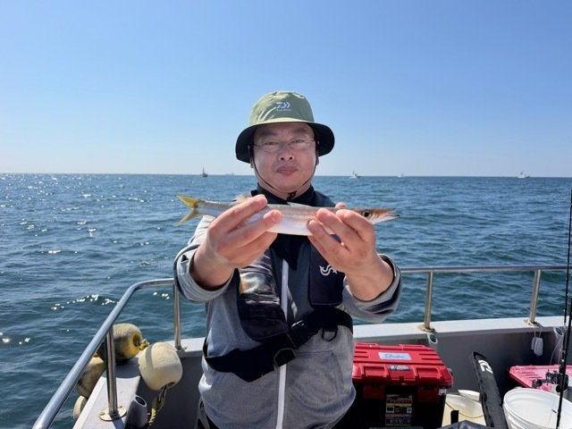 カマス(アカカマス)