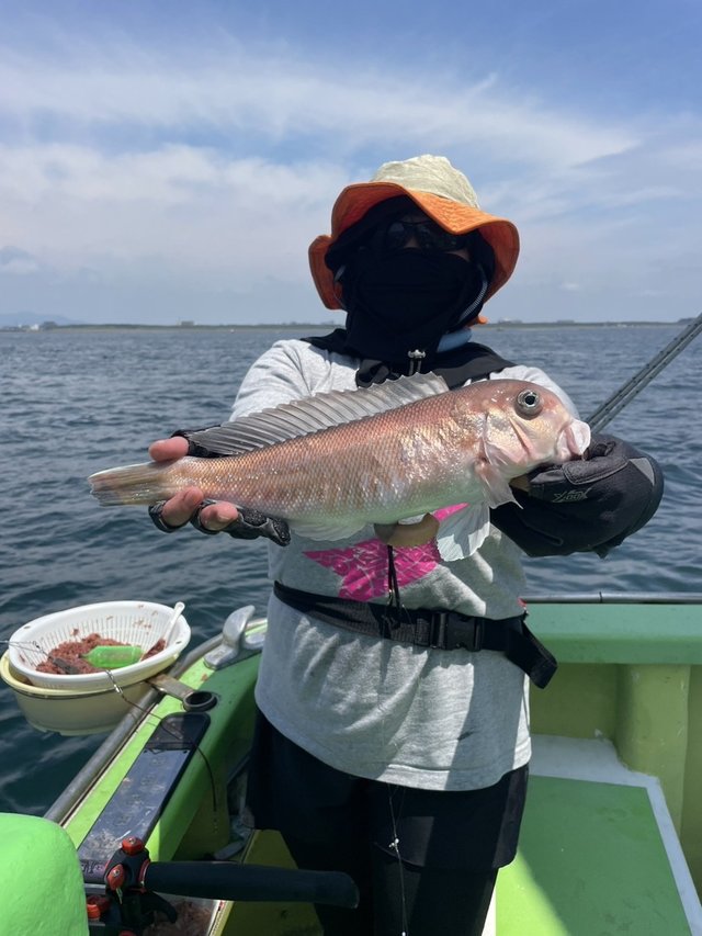 シロアマダイ