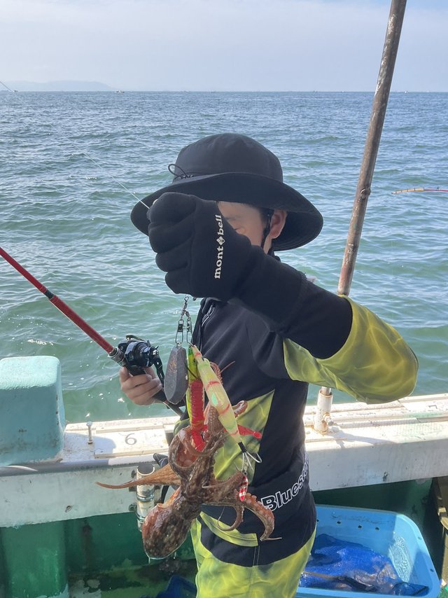 マダコ